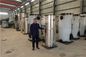 燃气真空热水锅炉样本