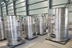 生物热水锅炉