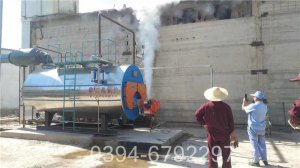 30万大卡洗浴热水锅炉