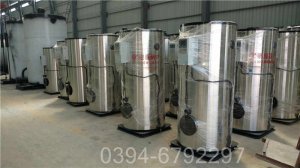 立式燃气蒸汽锅炉厂家