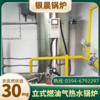 WNS20-1.25-QY卧式蒸汽锅炉银晨锅炉集团有限公司