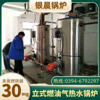 微型燃气锅炉