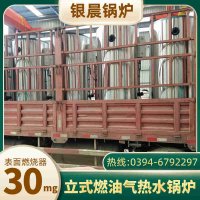 1吨燃煤锅炉
