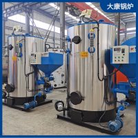 行业领先技术燃气锅炉大全太康锅炉