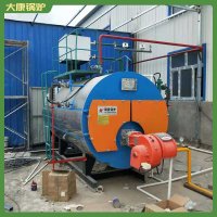 蒸汽锅炉系列WNS12蒸馒头用
