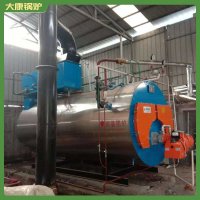黑龙江半吨低氮导油炉